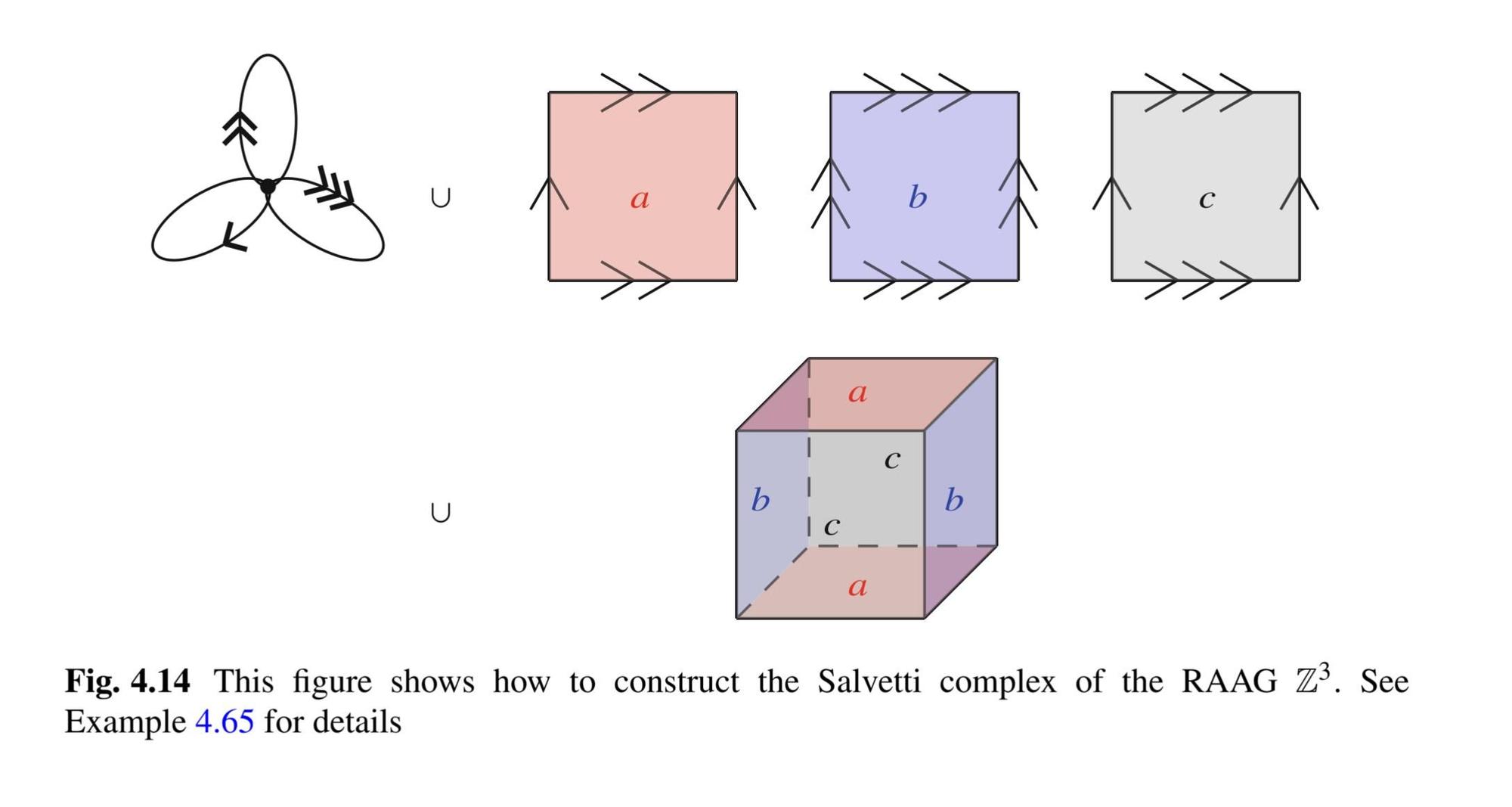 Figure showing a Salvetti complex